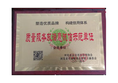質(zhì)量服務(wù)雙滿意誠(chéng)信示范單位